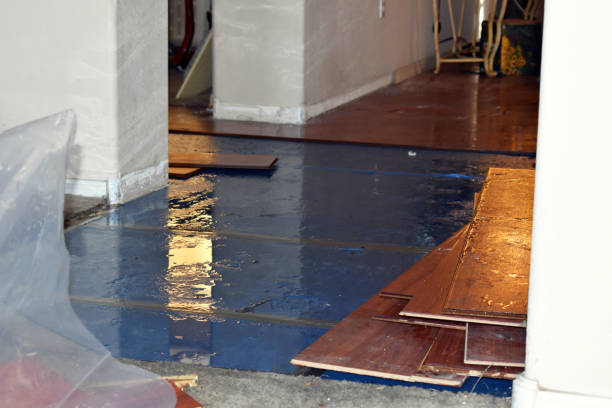 Professional Basement Flood Cleanup technician working in Rheems, PA